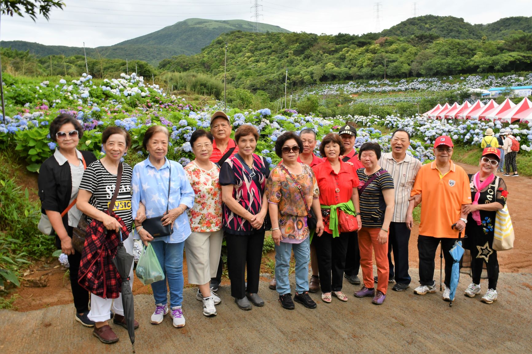 2020/06/08金山繡球花福隆沙雕一日